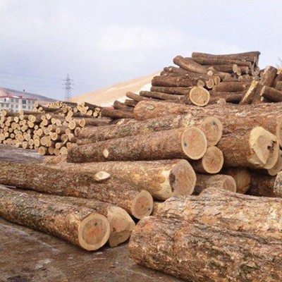 Factory price and fine cut Birch wood doors material From Russia